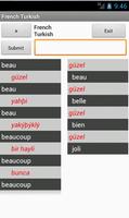 Turkish French Dictionary পোস্টার