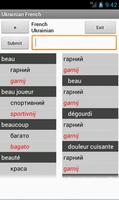 French Ukrainian Dictionary poster