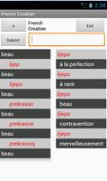 Croatian French Dictionary 海报