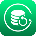 GT Data Recovery no Root