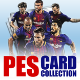 Ultimate PES CARD COLLECTION Guide