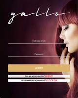 Gallo BHG poster