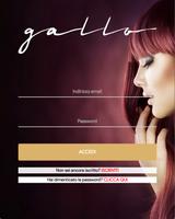 Gallo BHG Affiche