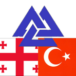 Georgian Turkish Dictionary