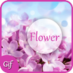 Flower GIF 2017