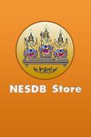 NESDB-Store Affiche