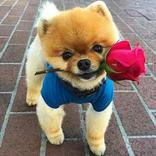 The application for training