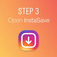 InstaSave screenshot 2