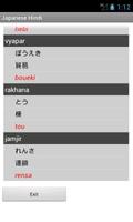Japanese Hindi Dictionary capture d'écran 2