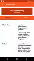 Java screenshot 3