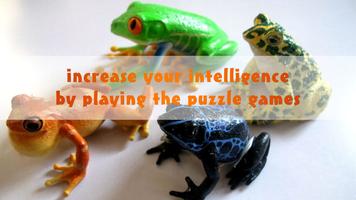Frog Magic Puzzle ポスター