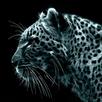 Screen saver on the screen lock APK