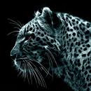 Screen saver on the screen lock APK