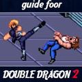 Guide for Double Dragon