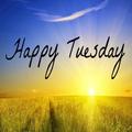 Tuesday