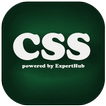 Learn CSS