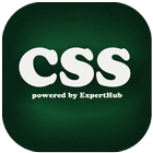 Learn CSS Zeichen