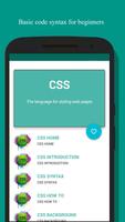 Learn CSS โปสเตอร์