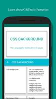 Learn CSS Screenshot 2