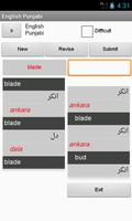 برنامه‌نما Punjabi English Dictionary عکس از صفحه