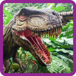 Animal from zoo puzzle