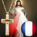 Holy Rosary Mercy in French with audio APK