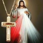 Holy Rosary Mercy in Portugues simgesi