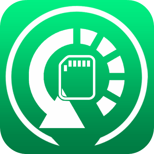 SD Card Recover File