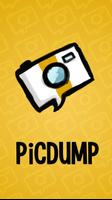 PiCDUMP poster