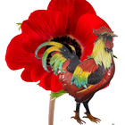 Poppycock icône