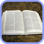 Estudos Bíblicos: Bíblia