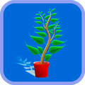 Plantas Medicinais