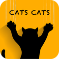 CATS CATS