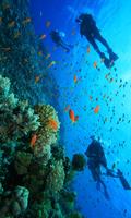 SCUBA DIVING پوسٹر