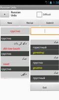Russian Urdu Dictionary capture d'écran 2
