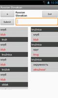 Russian Slovak Dictionary पोस्टर