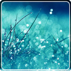 RainDrop Wallpaper آئیکن