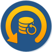 Deleted File Recovery