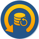 Deleted File Recovery APK