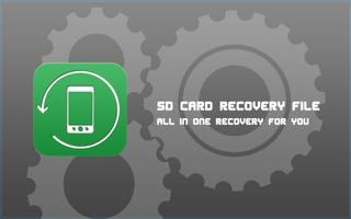 SD Card Recovery File bài đăng