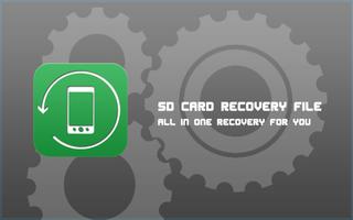 SD Card Recovery File poster