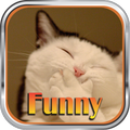 Funny