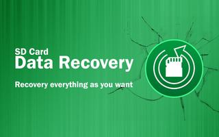 SD Card Data Recovery Poster