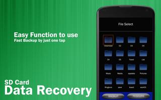 SD Card Data Recovery 截图 1