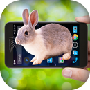 Bunny on Screen APK