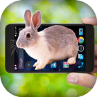 Bunny on Screen-icoon