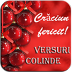 Versuri Colinde ***** APK