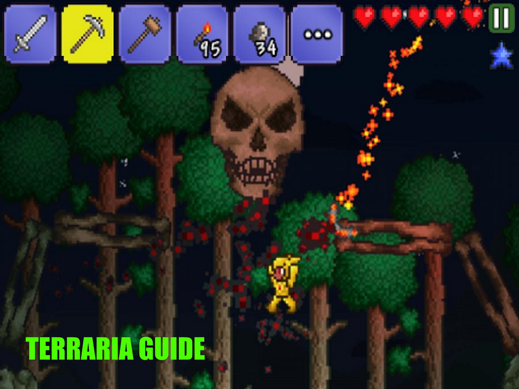 Player files for terraria фото 63
