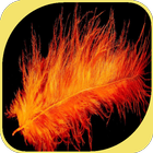 Orange Feather ikon