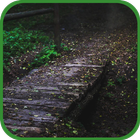 A Path in the Woods أيقونة